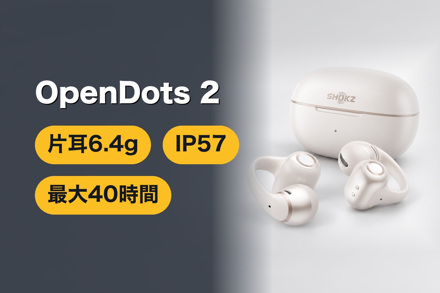 Shokz OpenDots 2